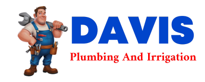 Trusted plumber in SAGE